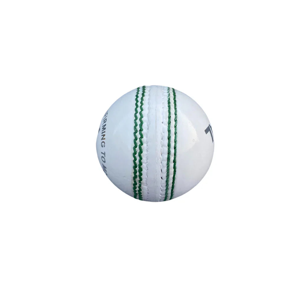 CRICKET LEATHER BALL WIZAL K 41