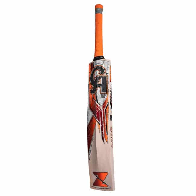 CA Gold 2000 Bat